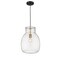 Z-Lite Bella 1 Light Pendant, Matte Black & Olde Brass & Clear 476P-MB-OBR - alternate 2